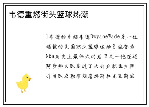 韦德重燃街头篮球热潮